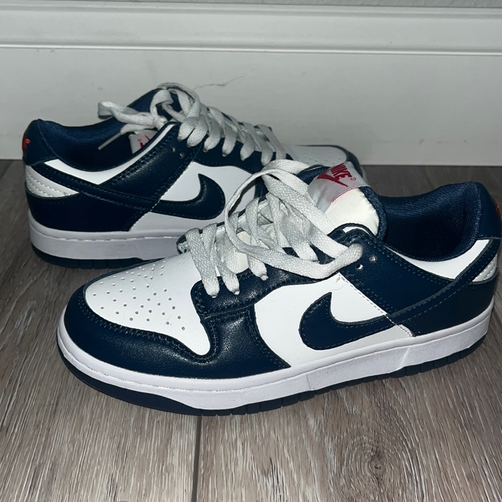 Womens Nike Dunks